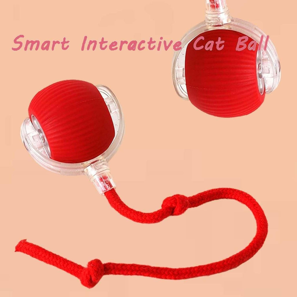 Interactive Rolling Ball Toy – Fun Playtime for Pets