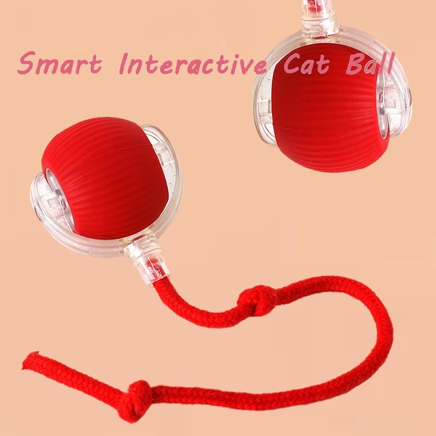 Interactive Rolling Ball Toy – Fun Playtime for Pets