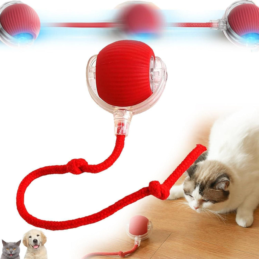 Interactive Rolling Ball Toy – Fun Playtime for Pets
