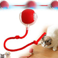 Interactive Rolling Ball Toy – Fun Playtime for Pets